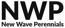 New Wave Perennials